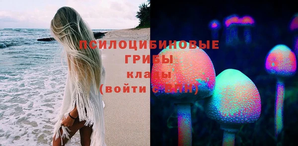 соль курить ск Гусь-Хрустальный
