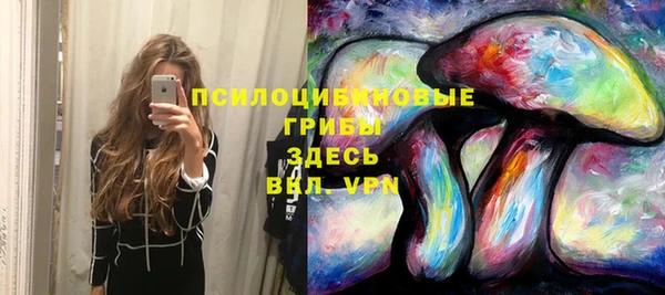 соль курить ск Гусь-Хрустальный