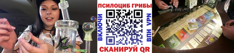 Галлюциногенные грибы Psilocybe  даркнет сайт  Городец 