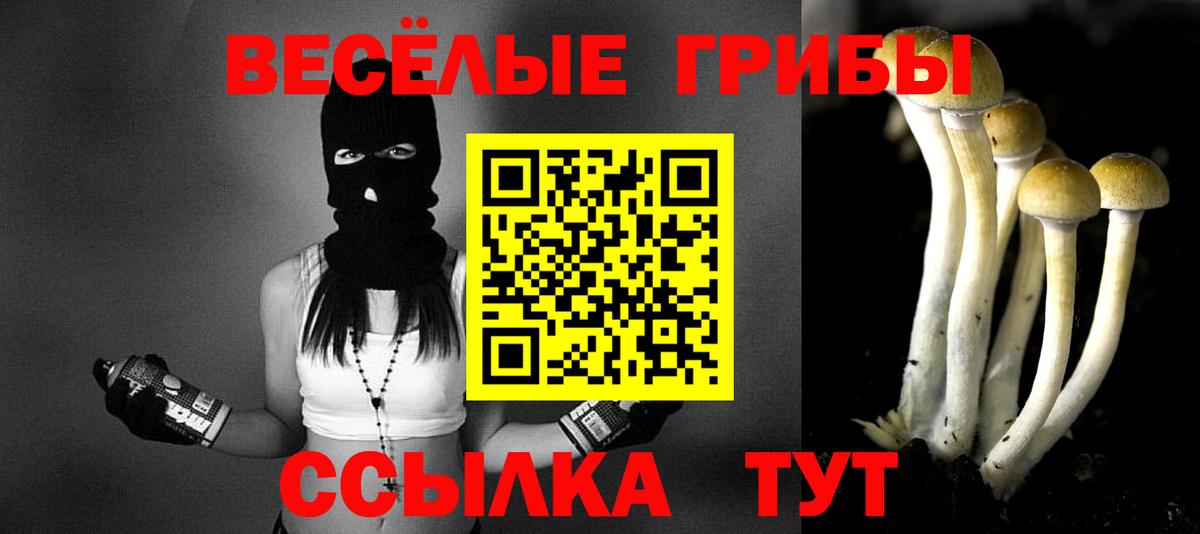 Галлюциногенные грибы мухоморы Городец