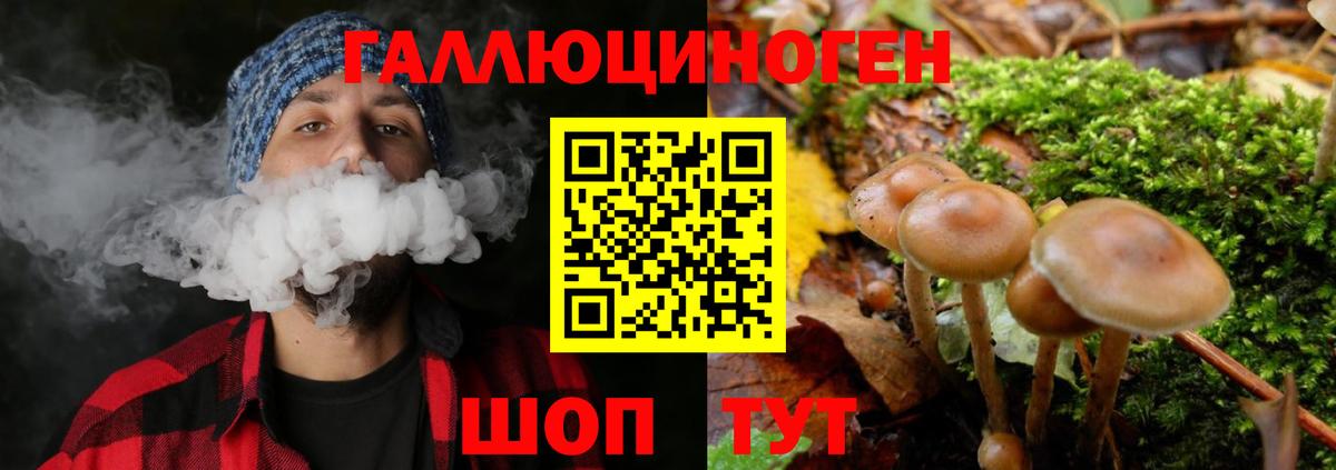 Городец  Псилоцибиновые грибы мухоморы  Вход с VPN 